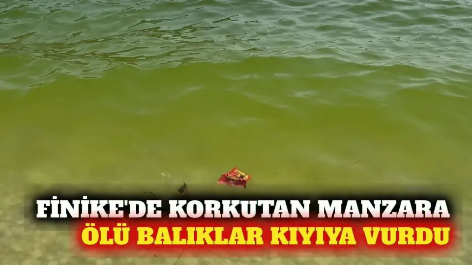 Finike Gökliman Plajı'nda Deniz Kirliliği görseli