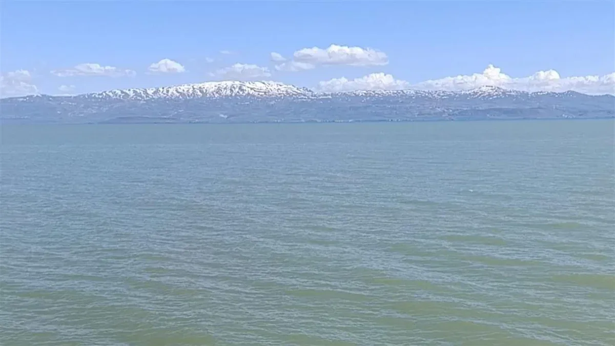 Van Gölü Muradiye Sahili'nde Yüzme Yasağı ve Atlı Zabıta Denetimi Van Gölü Muradiye Sahili'nde Yüzme Yasağı ve Atlı Zabıta Denetimi