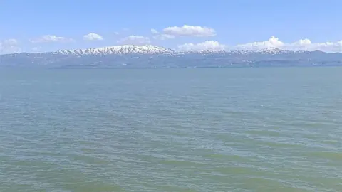 Van Gölü Muradiye Sahili'nde Yüzme Yasağı ve Atlı Zabıta Denetimi