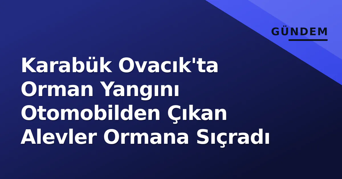 Karabük Ovacık'ta Orman Yangını Otomobilden Çıkan Alevler Ormana Sıçradı Karabük Ovacık'ta Orman Yangını Otomobilden Çıkan Alevler Ormana Sıçradı