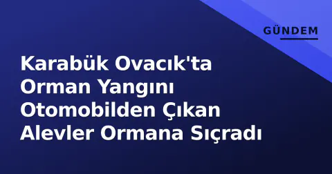 Karabük Ovacık'ta Orman Yangını Otomobilden Çıkan Alevler Ormana Sıçradı