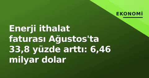 Enerji ithalat faturası Ağustos'ta 33,8 yüzde arttı: 6,46 milyar dolar