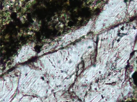Avustralya'da Altın Ararken Antik Meteor Krateri Keşfedildi