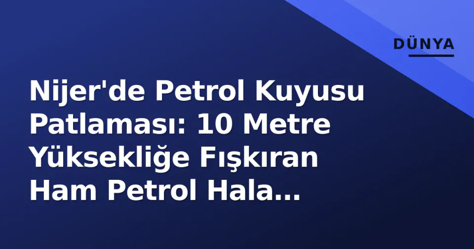 Nijer'de Petrol Kuyusu Patlaması: 10 Metre Yüksekliğe Fışkıran Ham Petrol Hala Kontrol Dışı görseli