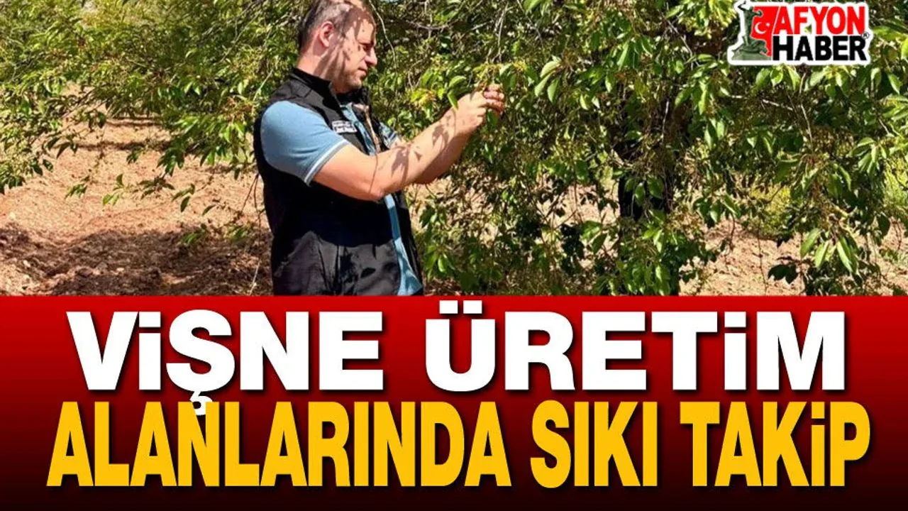 Afyon Vişnesinde Kalite Seferberliği: Şuhut'ta Entegre Mücadele Başladı Afyon Vişnesinde Kalite Seferberliği: Şuhut'ta Entegre Mücadele Başladı