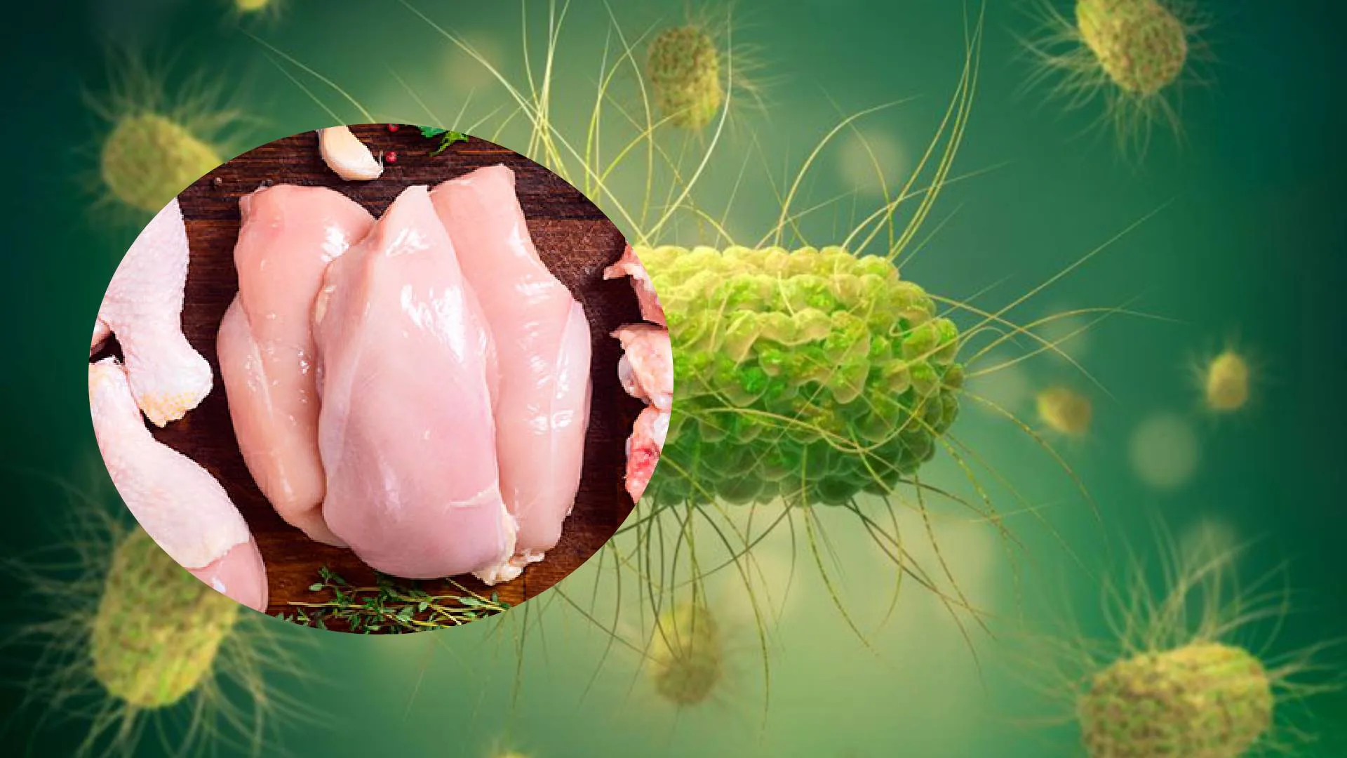 Avrupa'da Salmonella Alarmı: Erişte ve Helal Et Ürünleri Riski Avrupa'da Salmonella Alarmı: Erişte ve Helal Et Ürünleri Riski