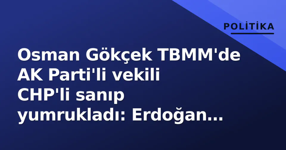 Osman Gökçek TBMM'de AK Parti'li vekili CHP'li sanıp yumrukladı: Erdoğan müdahale etti görseli