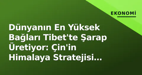 Dünyanın En Yüksek Bağları Tibet'te Şarap Üretiyor: Çin'in Himalaya Stratejisi Meyve Veriyor
