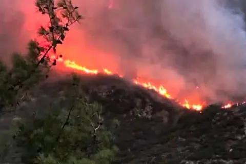 Orman Yangınlarında Adli Takip: 16 İlde 44 Yangın İçin 6 Tutuklama