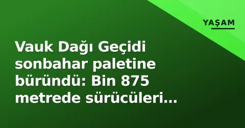 Vauk Dağı Geçidi sonbahar paletine büründü: Bin 875 metrede sürücüleri bıktırmayan manzara