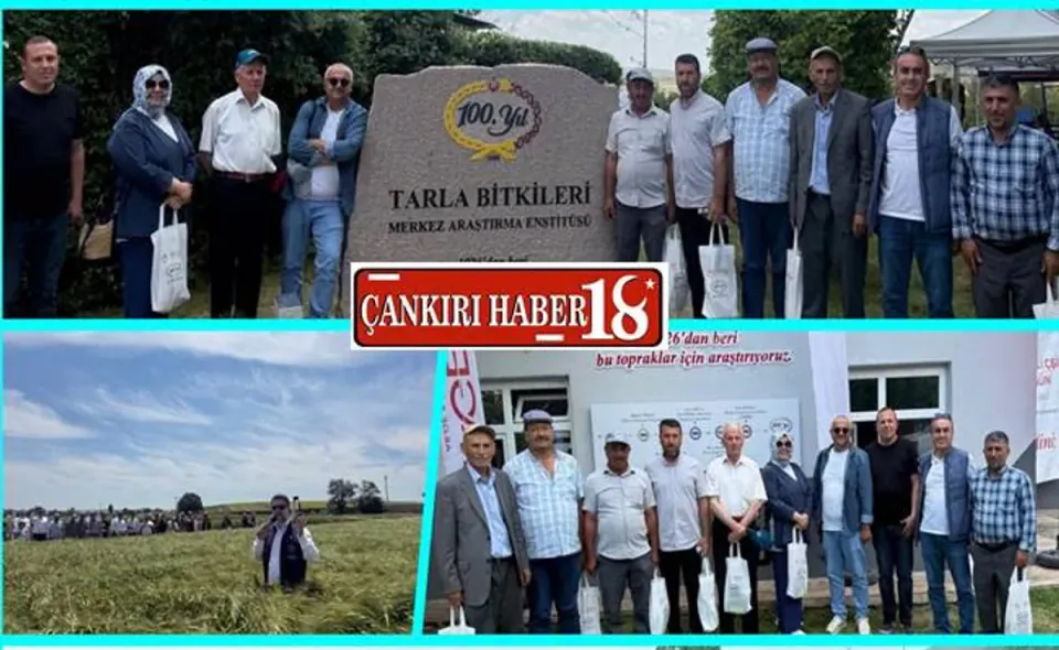 Çankırı'da Tarla Günü: Yerli ve Milli Tohumlar Üreticiyle Buluştu görseli