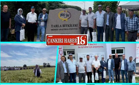 Çankırı'da Tarla Günü: Yerli ve Milli Tohumlar Üreticiyle Buluştu