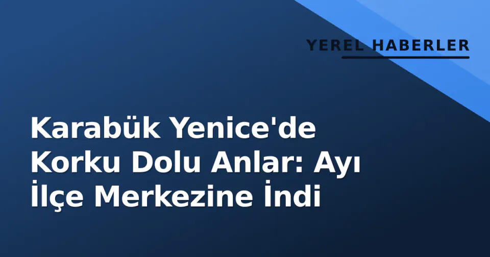 Karabük Yenice'de Korku Dolu Anlar: Ayı İlçe Merkezine İndi görseli