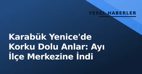 Karabük Yenice'de Korku Dolu Anlar: Ayı İlçe Merkezine İndi