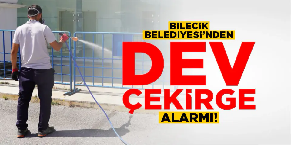 Bilecik'te Dev Çekirge Alarmı: Belediye İlaçlama Çalışmalarını Başlattı görseli