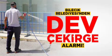 Bilecik'te Dev Çekirge Alarmı: Belediye İlaçlama Çalışmalarını Başlattı