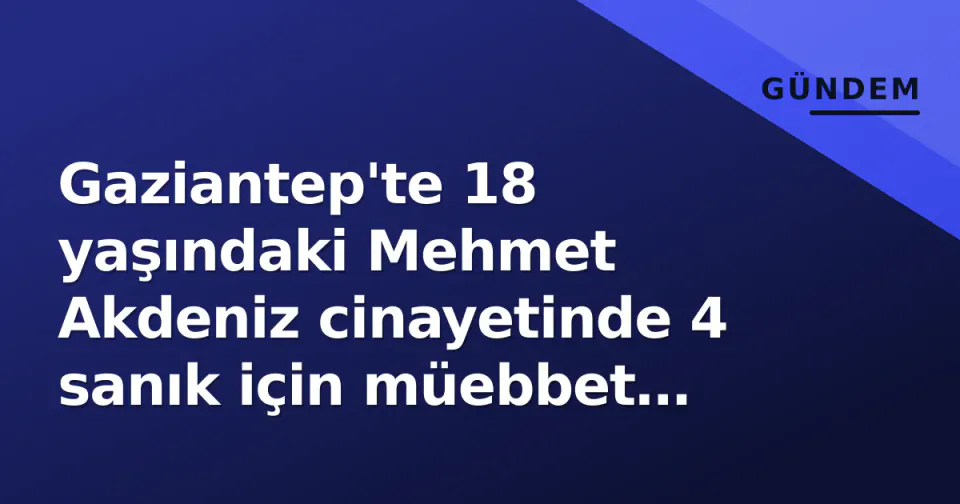 Gaziantep'te 18 yaşındaki Mehmet Akdeniz cinayetinde 4 sanık için müebbet istendi görseli