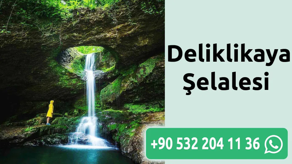 Artvin Deliklikaya Şelalesi'nde Turist Korkuluçu An Yaşadı görseli
