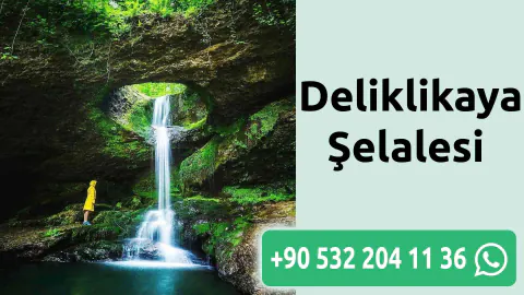 Artvin Deliklikaya Şelalesi'nde Turist Korkuluçu An Yaşadı