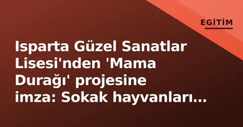 Isparta Güzel Sanatlar Lisesi'nden 'Mama Durağı' projesine imza: Sokak hayvanları için anlamlı adım