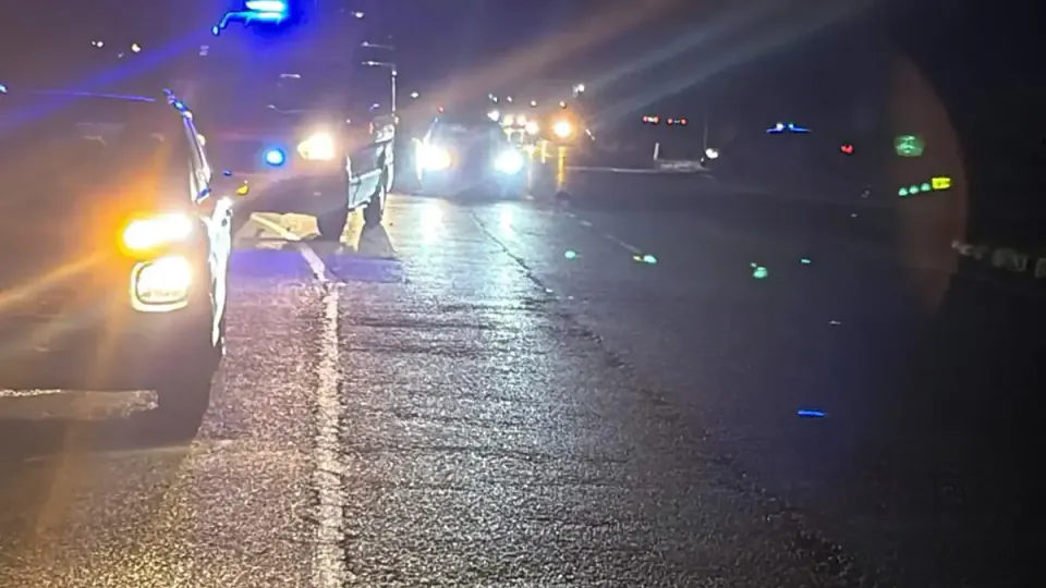 Tekirdağ-Malkara yolunda feci kaza: Motosiklet sürücüsü hayatını kaybetti görseli