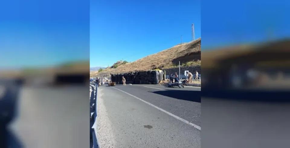 Elazığ-Bingöl Karayolu'nda Tır Devrildi: 2 Yaralı, 6 Hayvan Telef Oldu görseli