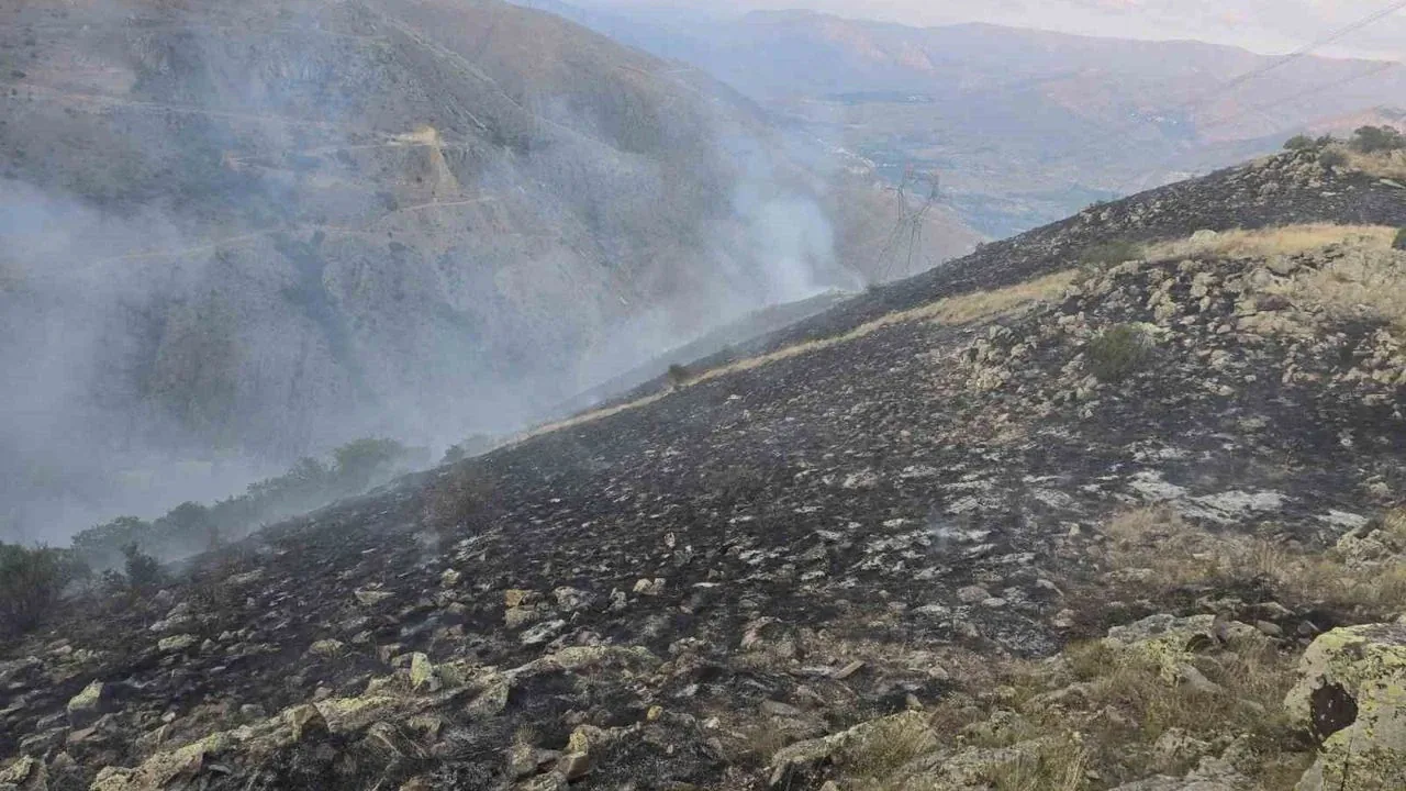 İspir'deki Orman Yangınında Yeni Nesil Arazöz Devrede İspir'deki Orman Yangınında Yeni Nesil Arazöz Devrede