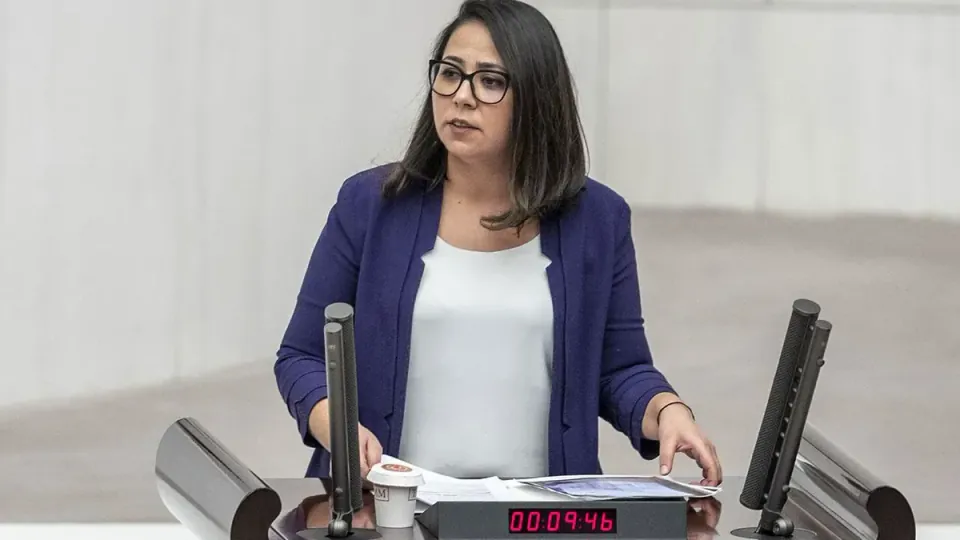 Saliha Sera Kadıgil Hakkında 'Cumhurbaşkanına Hakaret' Soruşturması Başlatıldı