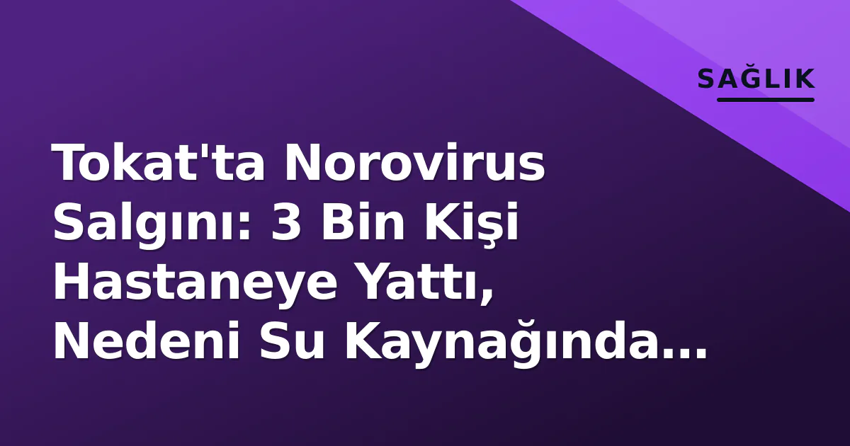 Tokat'ta Norovirus Salgını: 3 Bin Kişi Hastaneye Yattı, Nedeni Su Kaynağında Bulundu
