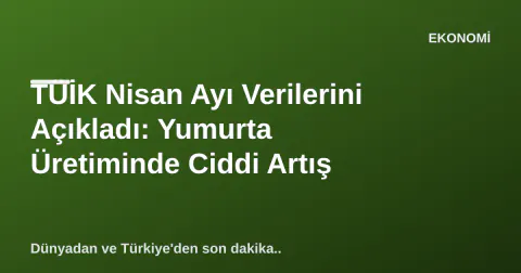 TÜİK Nisan Ayı Verilerini Açıkladı: Yumurta Üretiminde Ciddi Artış