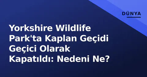Yorkshire Wildlife Park'ta Kaplan Geçidi Geçici Olarak Kapatıldı: Nedeni Ne?