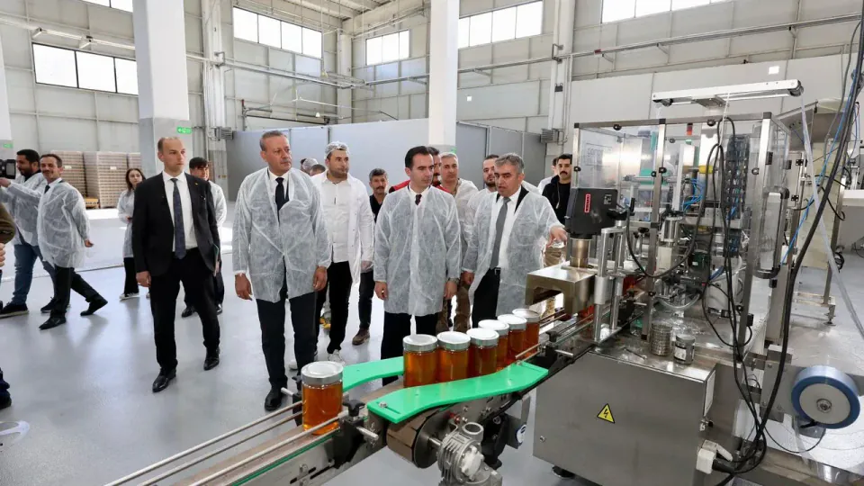 Bitlis Eren Üniversitesi'nden doğal bal ve arı ürünleri satışa: Kilogram fiyatları belli oldu görseli