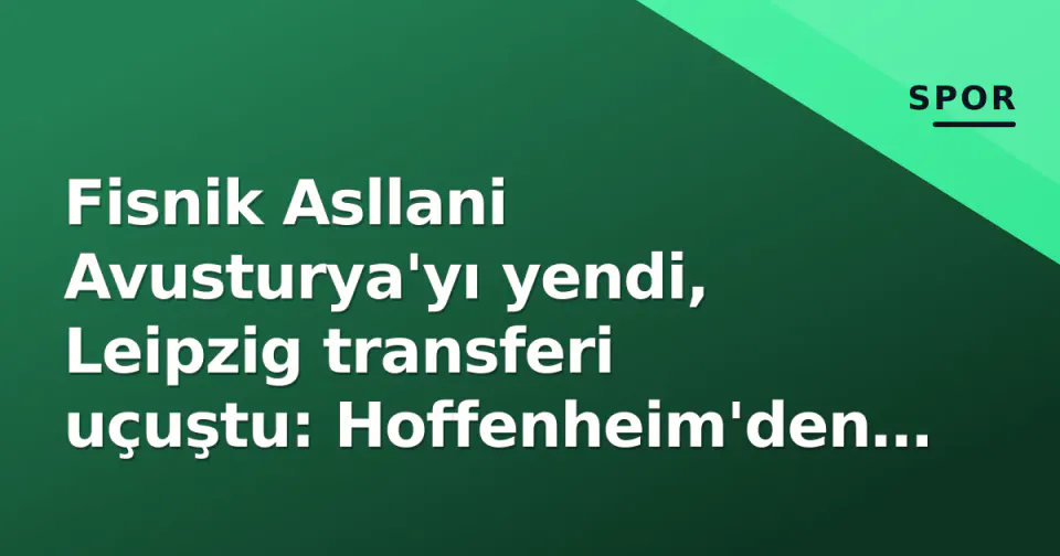 Fisnik Asllani Avusturya'yı yendi, Leipzig transferi uçuştu: Hoffenheim'den teşekkür mesajı görseli