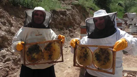Tatvan'da iki kadının azmi: 5 kovandan 100 kovanlık arıcılık başarısına