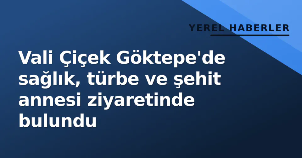 Vali Çiçek Göktepe'de sağlık, türbe ve şehit annesi ziyaretinde bulundu görseli