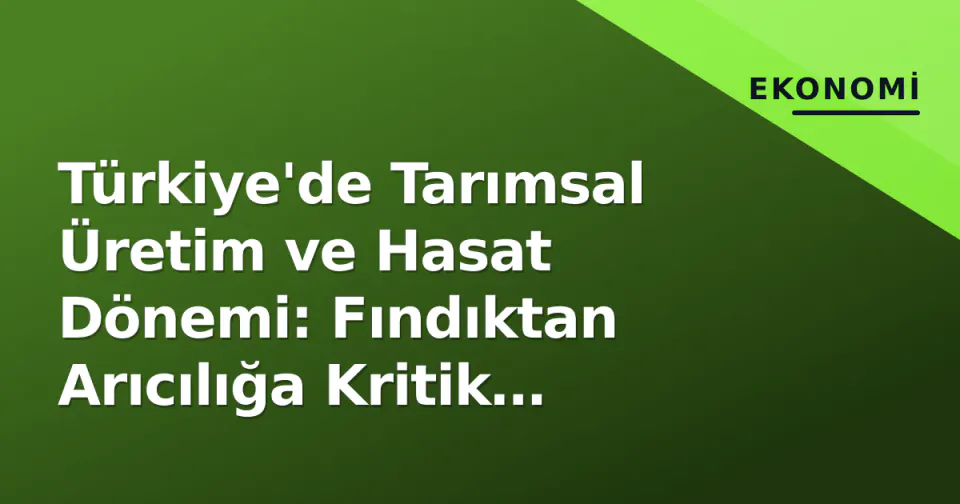 Türkiye'de Tarımsal Üretim ve Hasat Dönemi: Fındıktan Arıcılığa Kritik Süreçler görseli