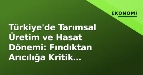 Türkiye'de Tarımsal Üretim ve Hasat Dönemi: Fındıktan Arıcılığa Kritik Süreçler