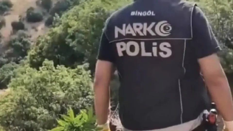 Bingöl'de uyuşturucu ve silah operasyonu: 6 tutuklandı, 4 adli kontrolle serbest görseli