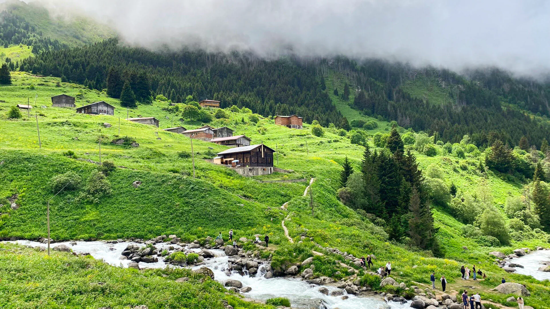 Ardahanlı Özel Bireyler Karadeniz Turuyla Sosyalleşti: Rize ve Trabzon Gezisi Ardahanlı Özel Bireyler Karadeniz Turuyla Sosyalleşti: Rize ve Trabzon Gezisi