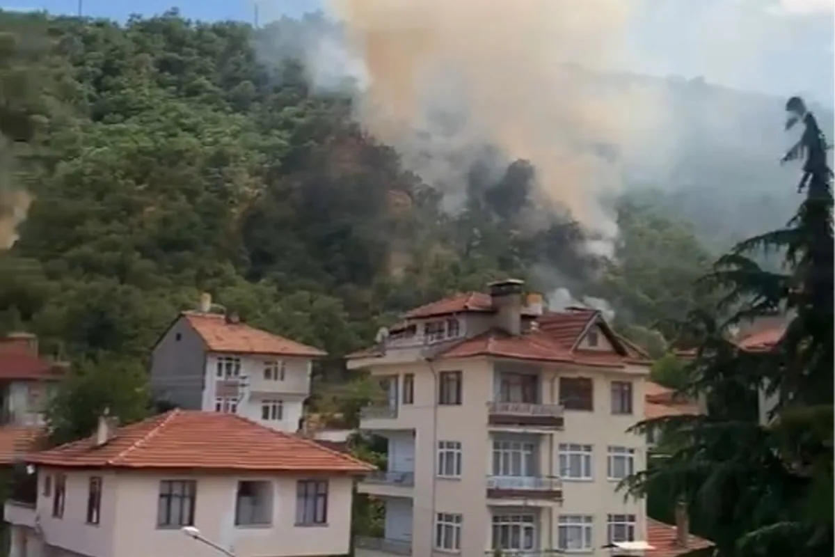 Kastamonu Tosya'da Orman Yangını 40 Dönümlük Alan Zarar Gördü Kastamonu Tosya'da Orman Yangını 40 Dönümlük Alan Zarar Gördü
