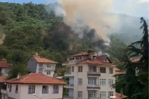 Kastamonu Tosya'da Orman Yangını 40 Dönümlük Alan Zarar Gördü