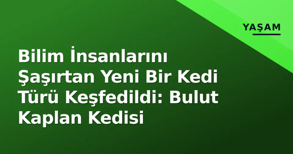 Bilim İnsanlarını Şaşırtan Yeni Bir Kedi Türü Keşfedildi: Bulut Kaplan Kedisi görseli