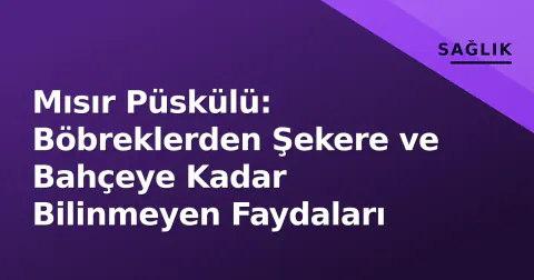 Mısır Püskülü: Böbreklerden Şekere ve Bahçeye Kadar Bilinmeyen Faydaları