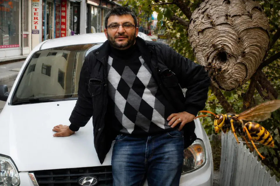Isparta'da Eşek Arısı Saldırısı: Yaşam Mücadelesi Veren Usta Doğum Gününde Hayatını Kaybetti görseli