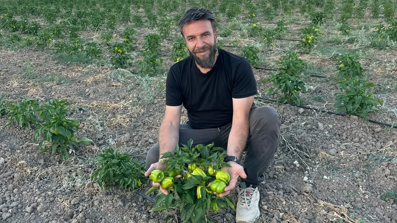 Erzincan'da İhtiyaç Sahiplerine Ücretsiz Sebze Tarlası Müjdesi Erzincan'da İhtiyaç Sahiplerine Ücretsiz Sebze Tarlası Müjdesi