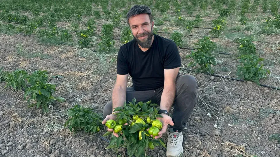 Erzincan'da İhtiyaç Sahiplerine Ücretsiz Sebze Tarlası Müjdesi görseli