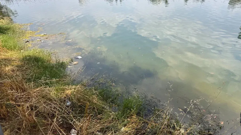 Seyhan Nehri Kıyısında Kirlilik Alarmı: Vatandaşlar Tepkili görseli