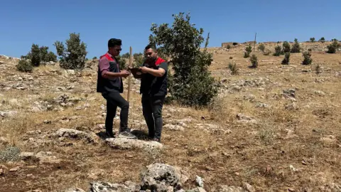 Şırnak'ta büyükbaş hayvancılığa kapı aralan araziler: 3 ilçede etüd tamamlandı