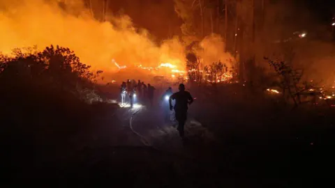 Alanya'da Orman Yangını Alarmı: Ziraat Odası'ndan Kritik Uyarılar