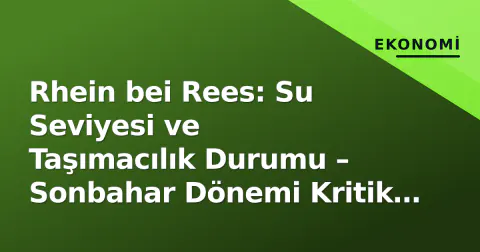 Rhein bei Rees: Su Seviyesi ve Taşımacılık Durumu – Sonbahar Dönemi Kritik Eşiğinde